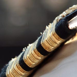 Ship security officer