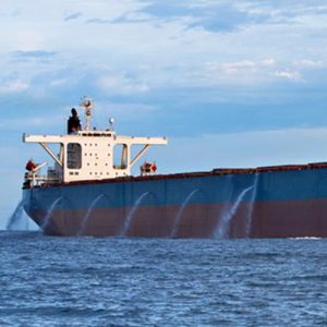 Marine fuel combustion