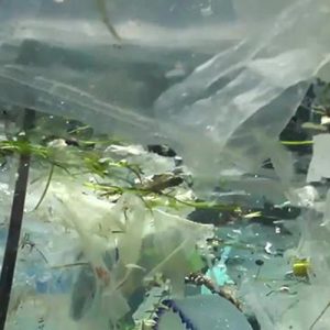 Environmental Officer Training Course